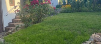 Charming vacation home with a view of the Rammelsberg 90 m² for up to 6 people