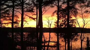 A sunset view through a forested area with a body of water in the foreground.
