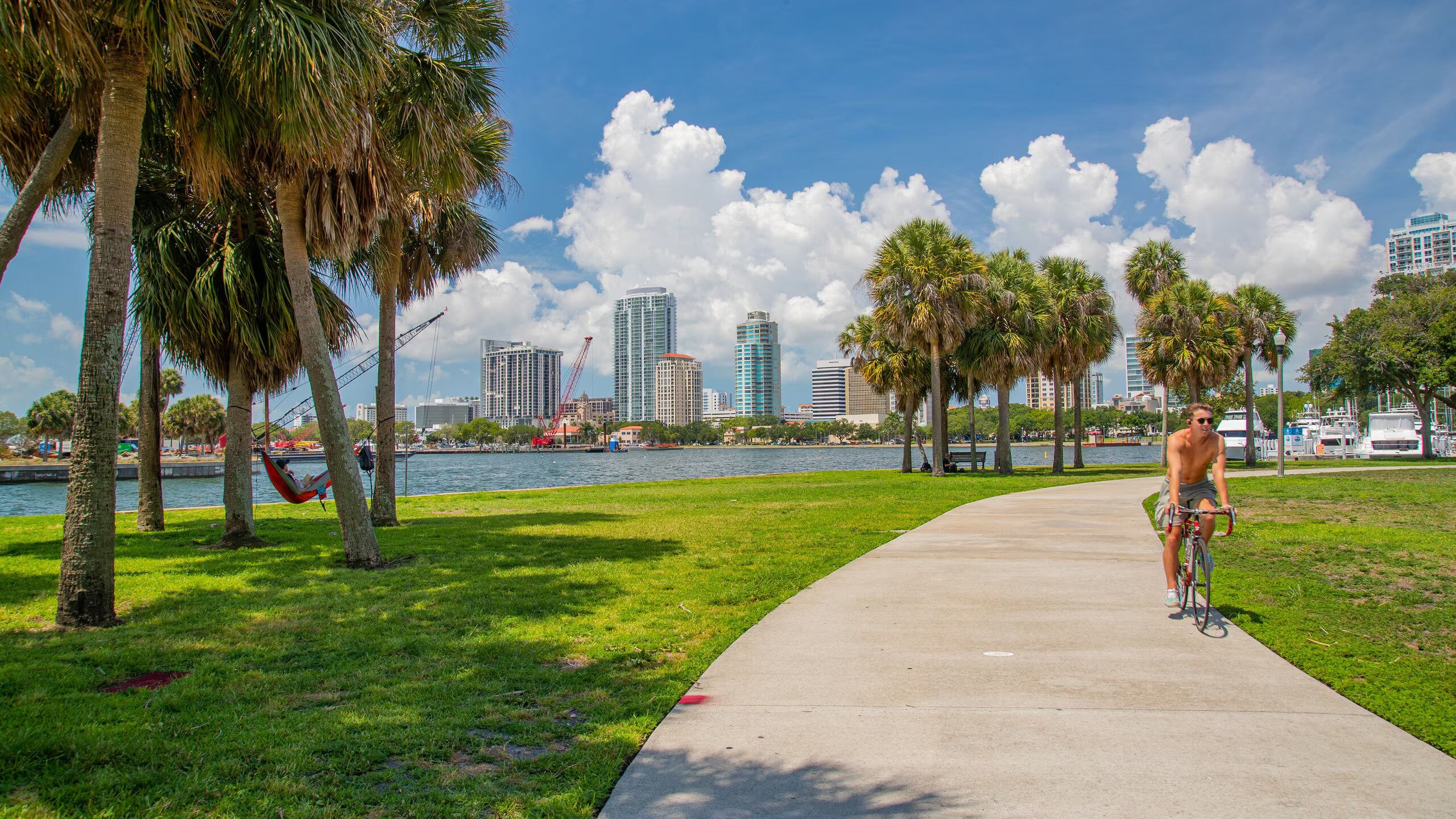 A park with a paved path, palm trees, and a city skyline in the background.