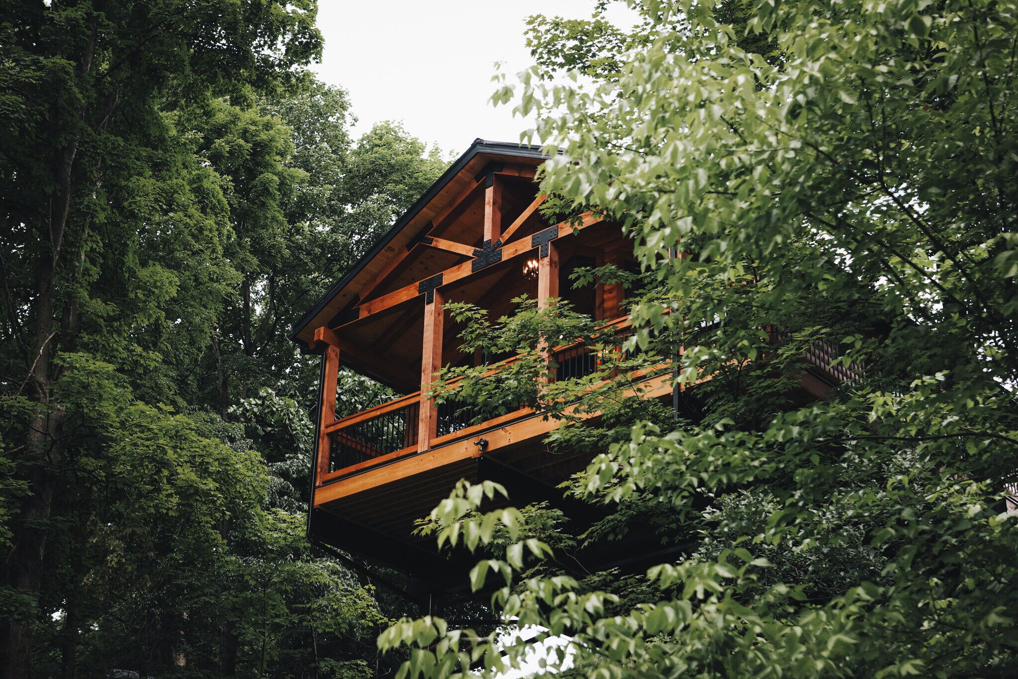 A wooden cabin with a balcony, surrounded by dense forest.