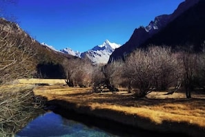 Vista desde la propiedad