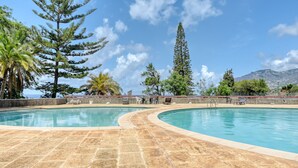 Une piscine au design incurvé, entourée de carreaux de pierre, et offrant une vue panoramique sur un paysage magnifique avec des montagnes et des arbres.