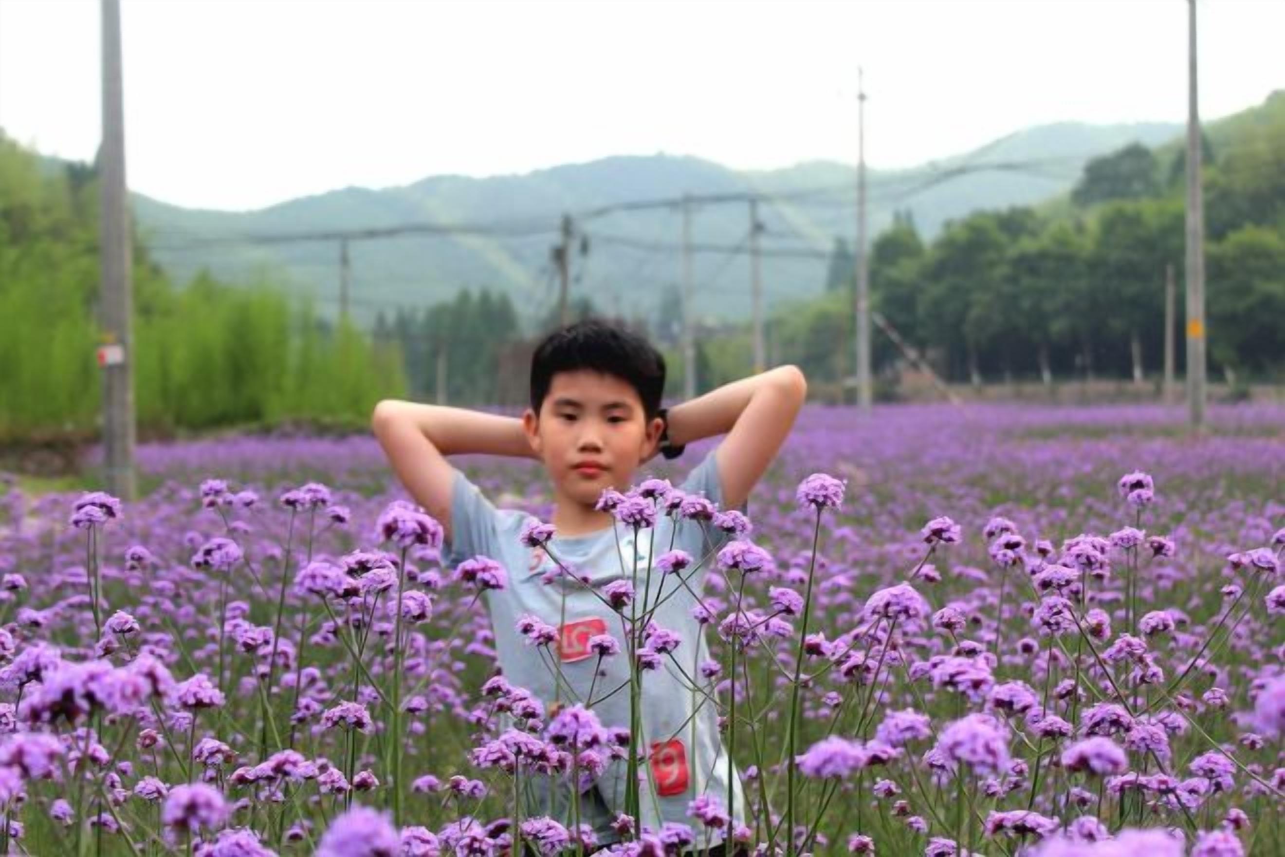 Une personne se tient debout dans un champ de fleurs violettes, avec des montagnes en arrière-plan.