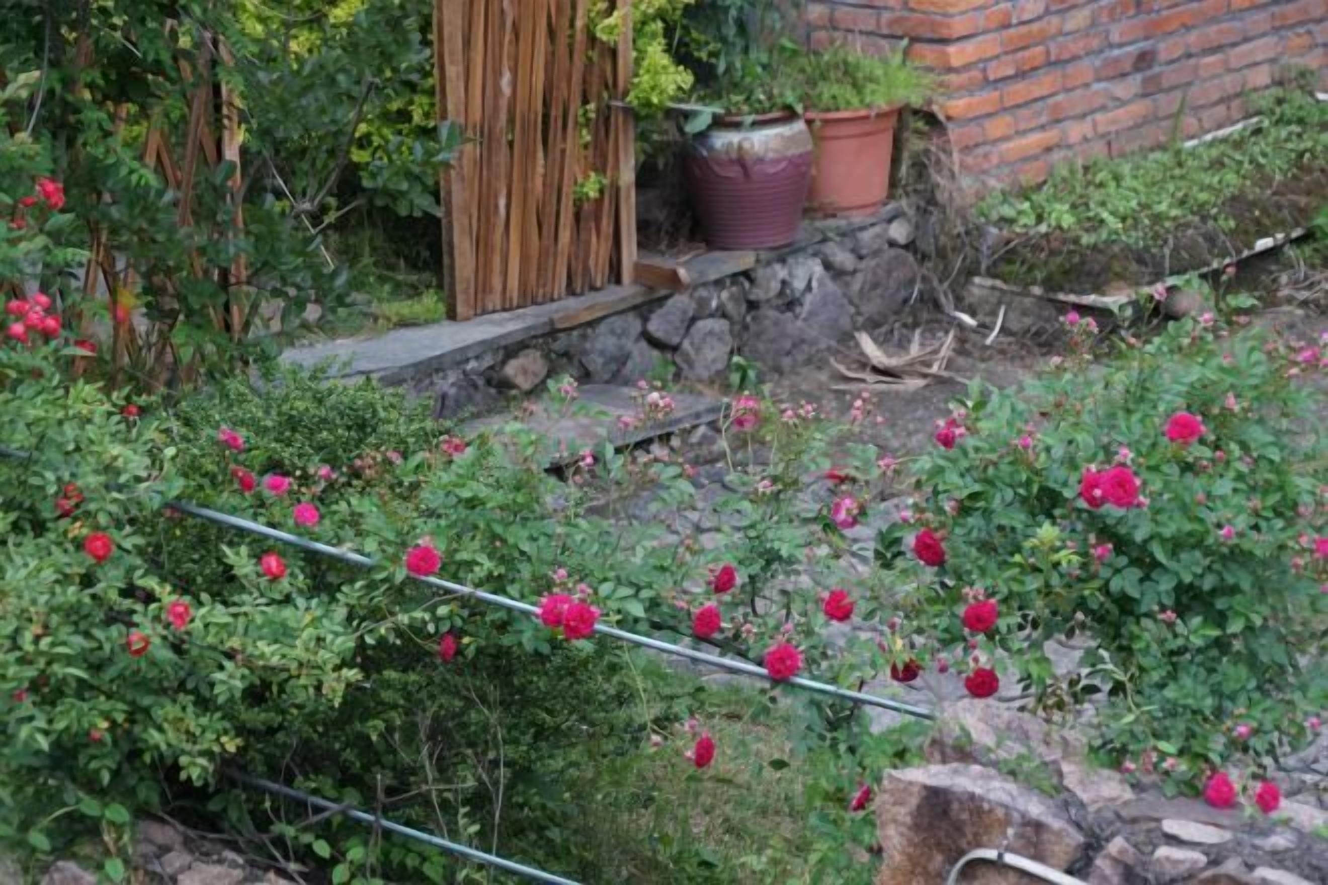 A garden with a wooden fence, a stone wall, and potted plants.
