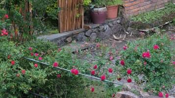 A garden with a wooden fence, a stone wall, and potted plants.