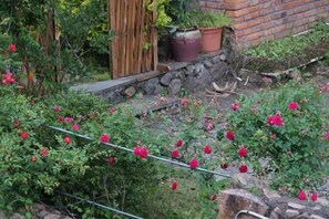 A garden with a wooden fence, a stone wall, and potted plants. - Yunshang Shenchu Homestay (Deqing)