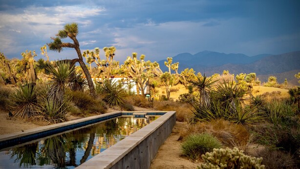 A desert landscape with a pool, cacti, and mountains in the background. - The Library at The Sea of Tranquility w/ Pool, Hot Tub & Outdoor Kitchen (Yucca Valley)