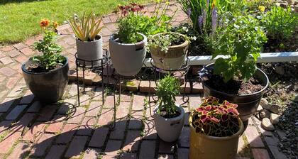 Birch Point at Cushman Cove- Entire Suite- King size bed, private setting