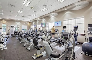 Fitness facility - Sunny and pristine turnkey-furnished three-bedroom southern exposure lake views (Naples)