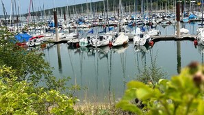 A marina with numerous boats docked, surrounded by greenery and a forested hill in the background.