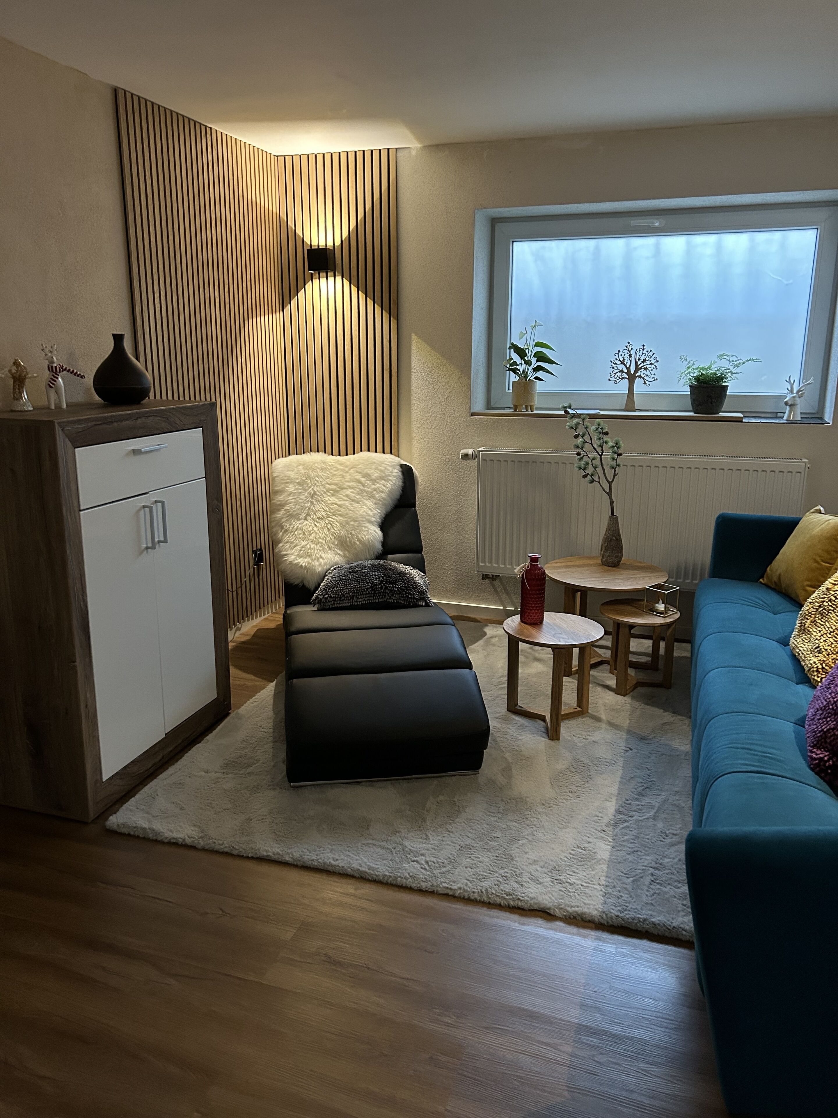 Smart-TV, Kamin