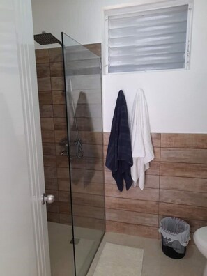 Shower, hair dryer, bidet, towels