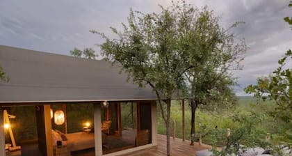 Honeymoon Tent - Seringa