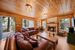 Smart TV, fireplace, DVD player, books