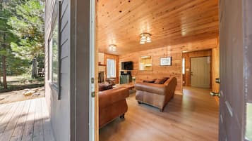 Smart TV, chimenea, reproductor de DVD y libros