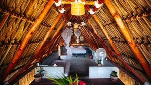 Habitación en ático con techo de paja, una cama, un ventilador y plantas en macetas.