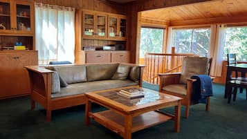 Smart TV, fireplace, books, stereo