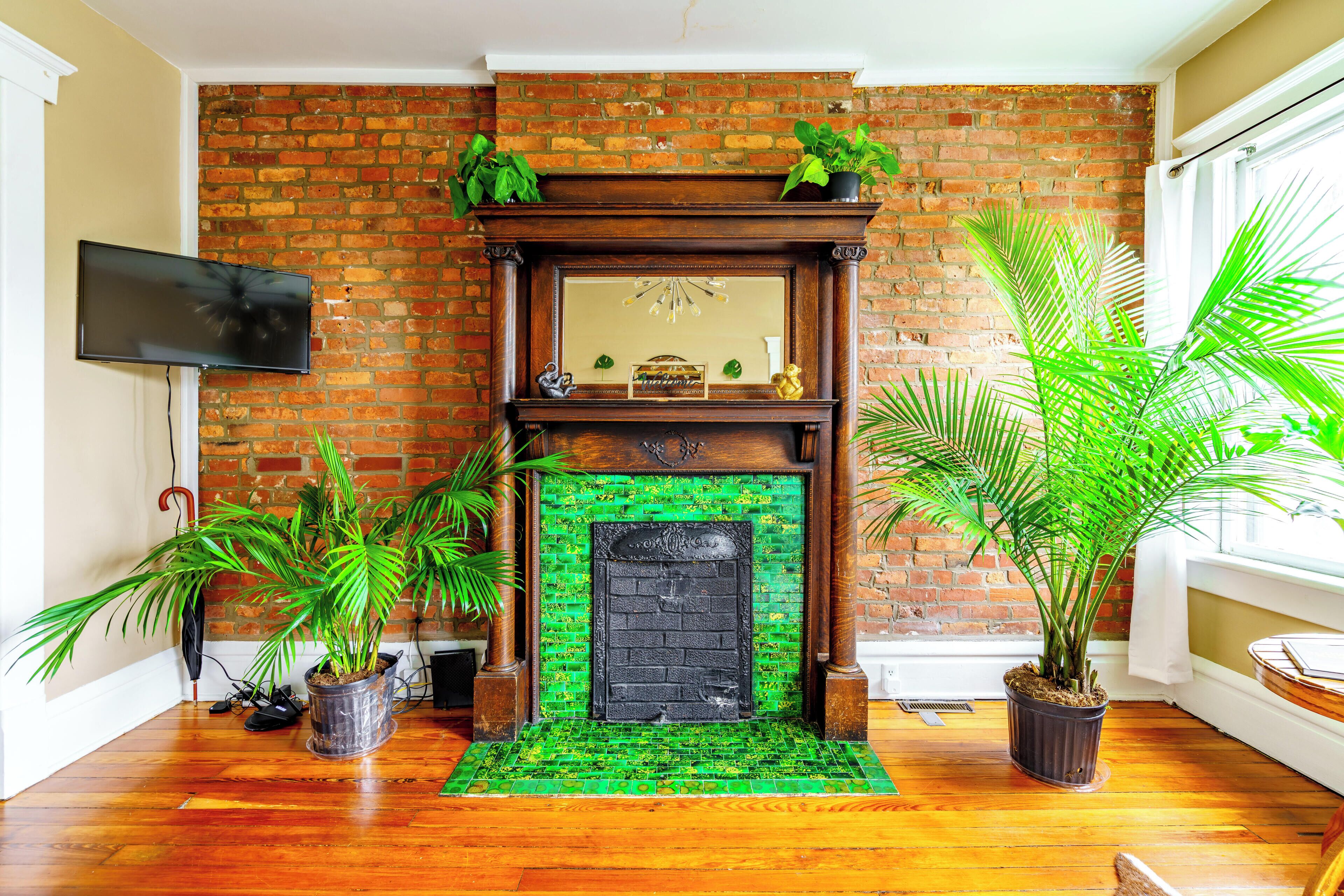 Jungle Book | Living area | 55-inch Smart TV with digital channels, Netflix, Hulu