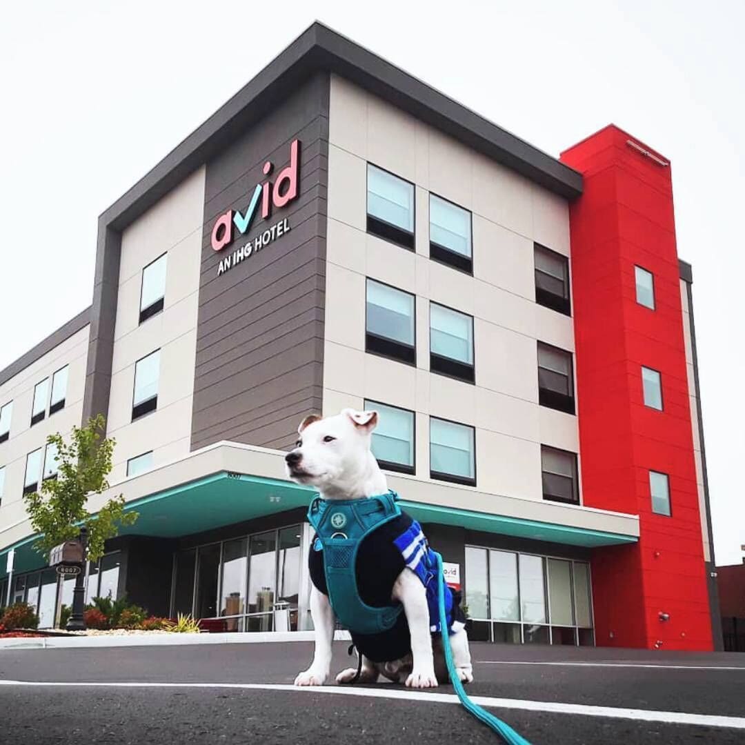 Un edificio moderno con un letrero que dice "avid AN ING HOTEL".