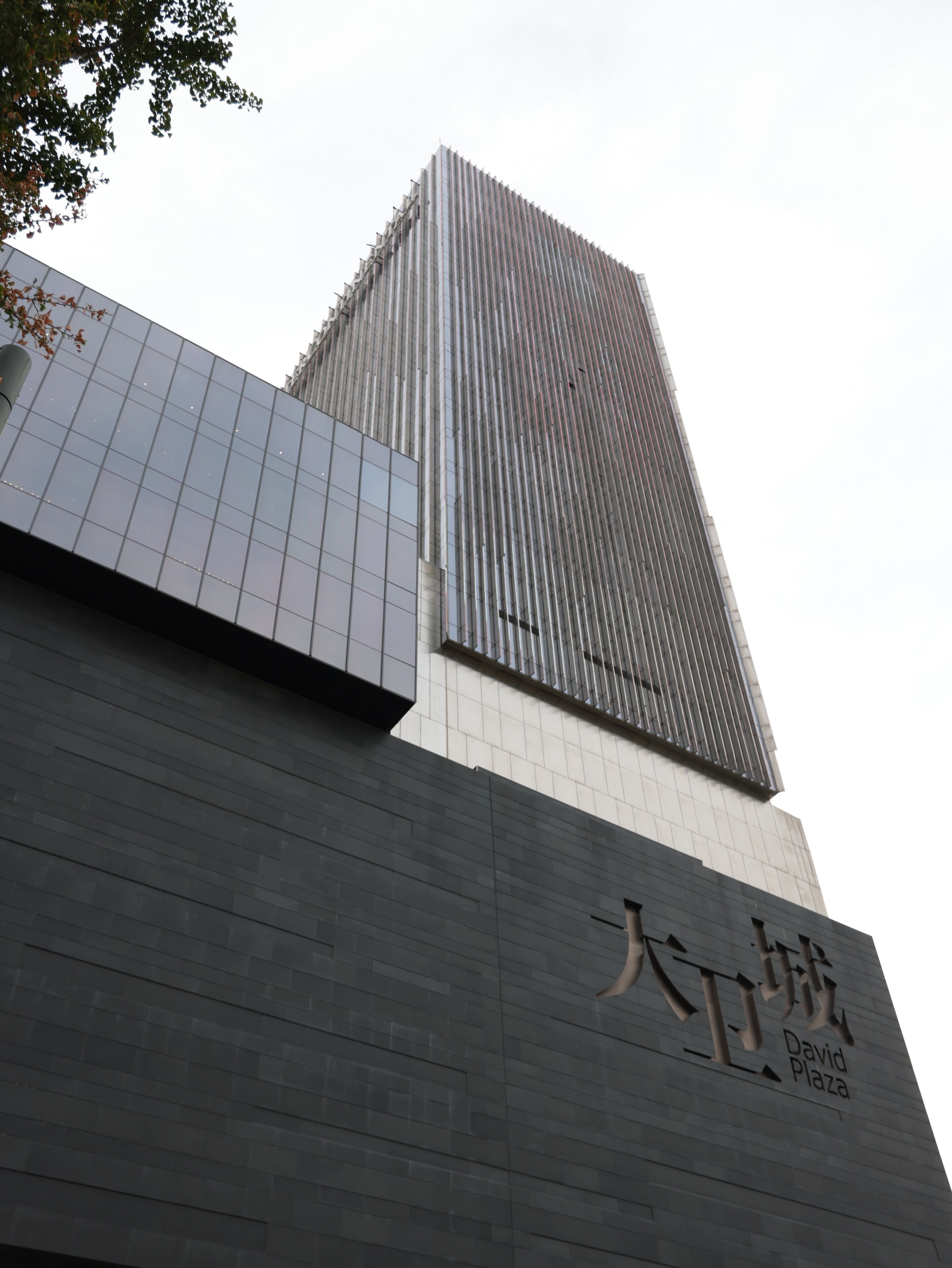 A modern building with a prominent vertical design and a sign reading "David Plaza".