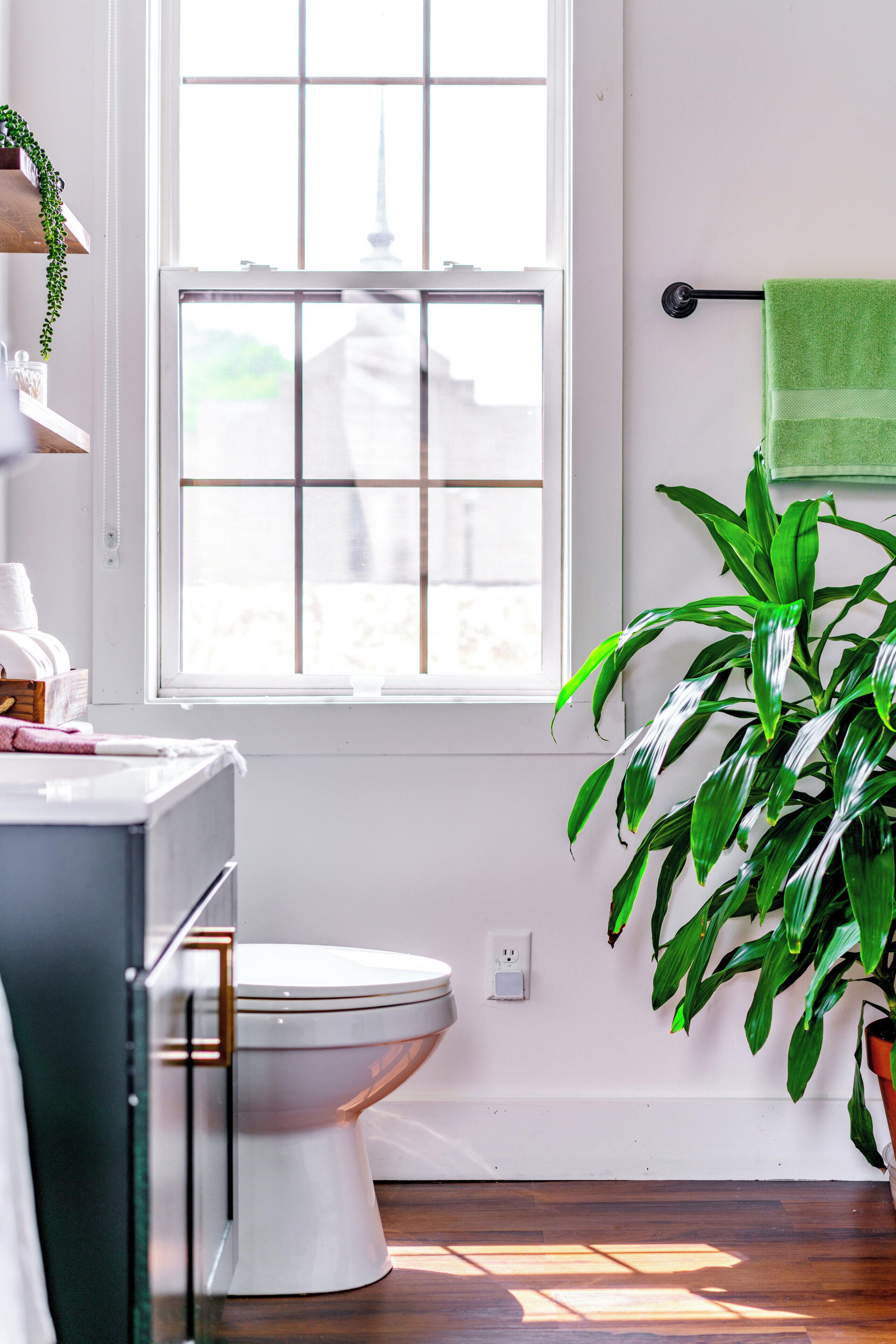 Jungle Thyme Upstairs | City view