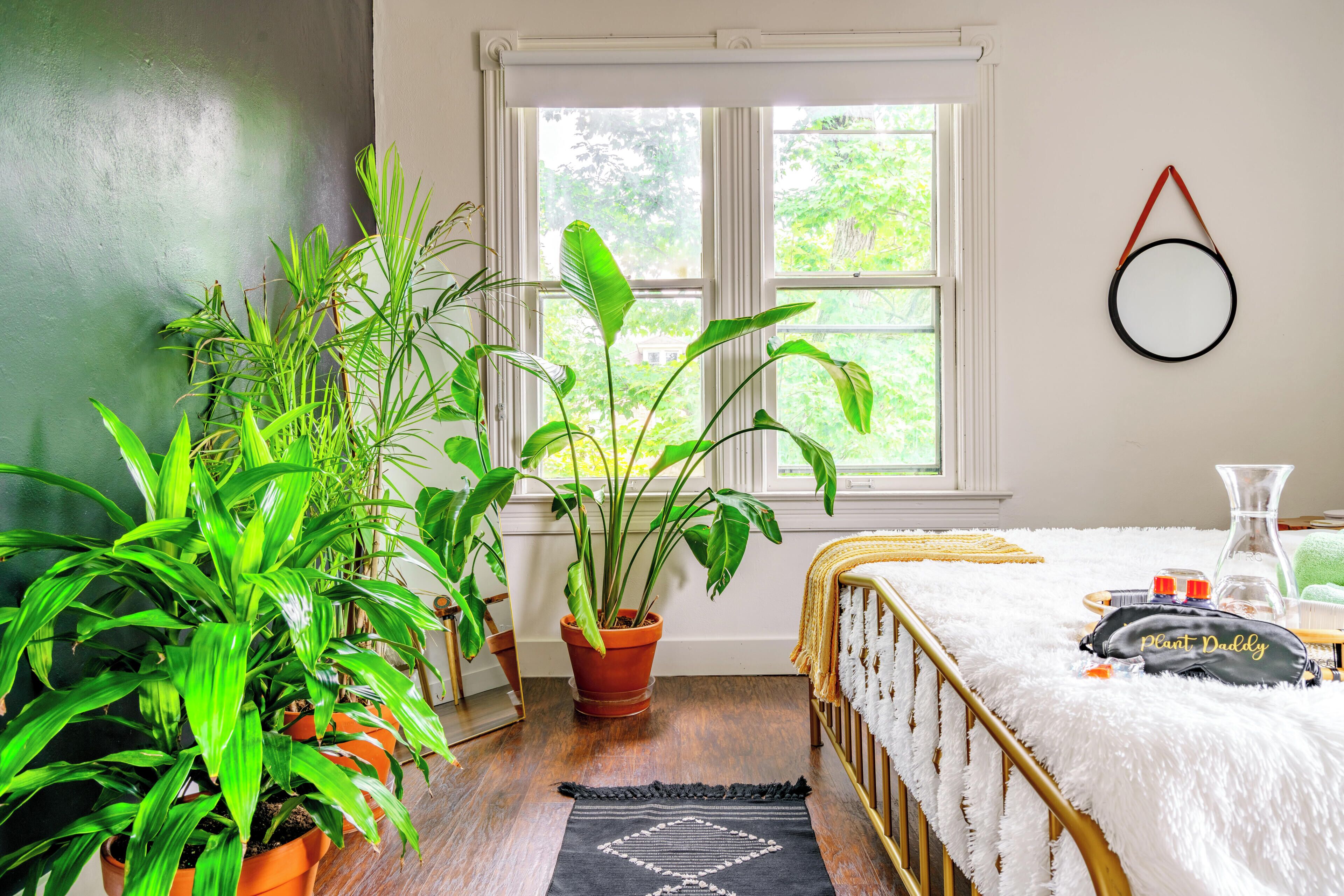 Casa familiar | Sábanas de algodón egipcio y ropa de cama de alta calidad 