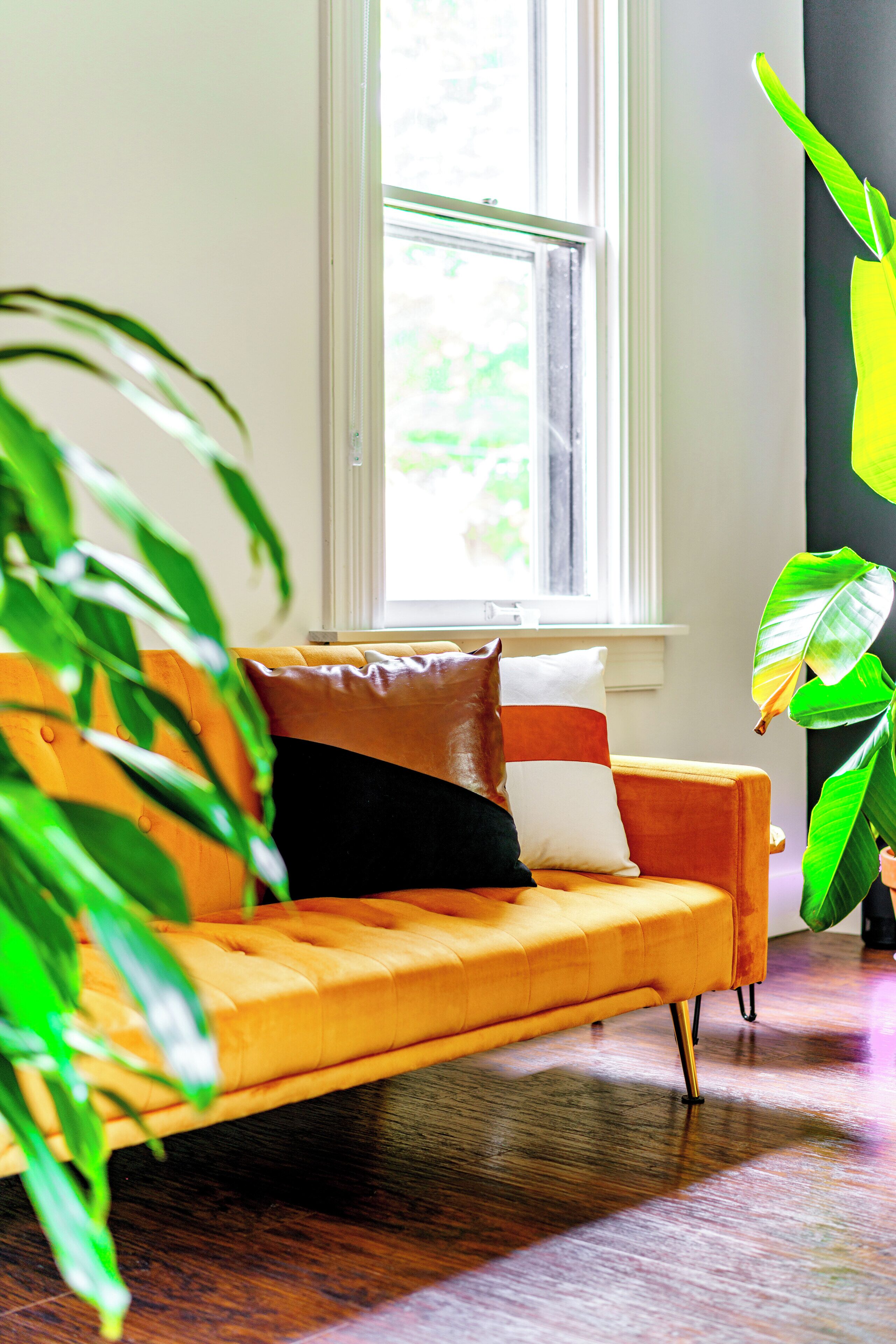 Jungle Thyme Upstairs | Living area | 55-inch Smart TV with digital channels, Netflix, Hulu