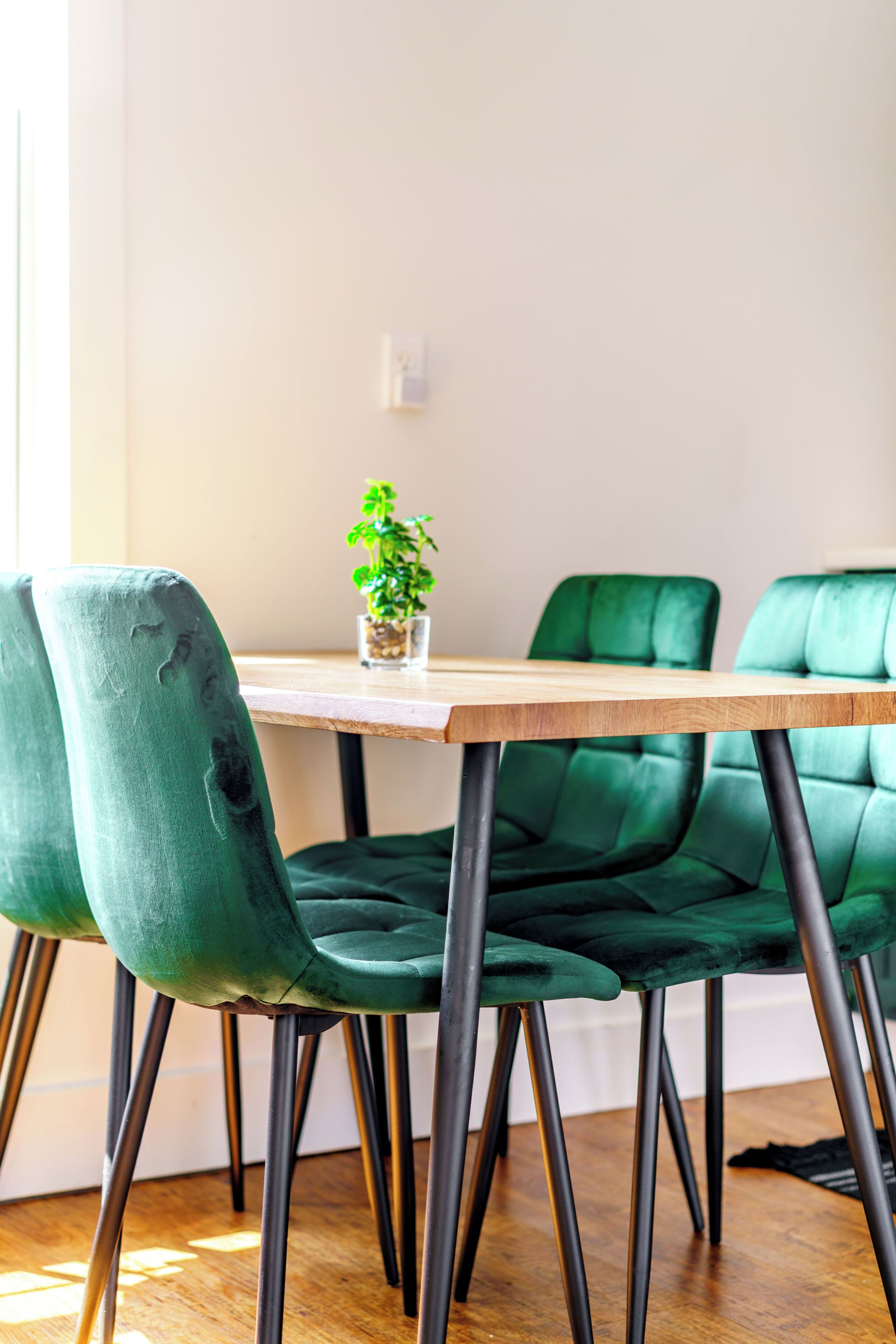 Jungle Thyme Upstairs | In-room dining