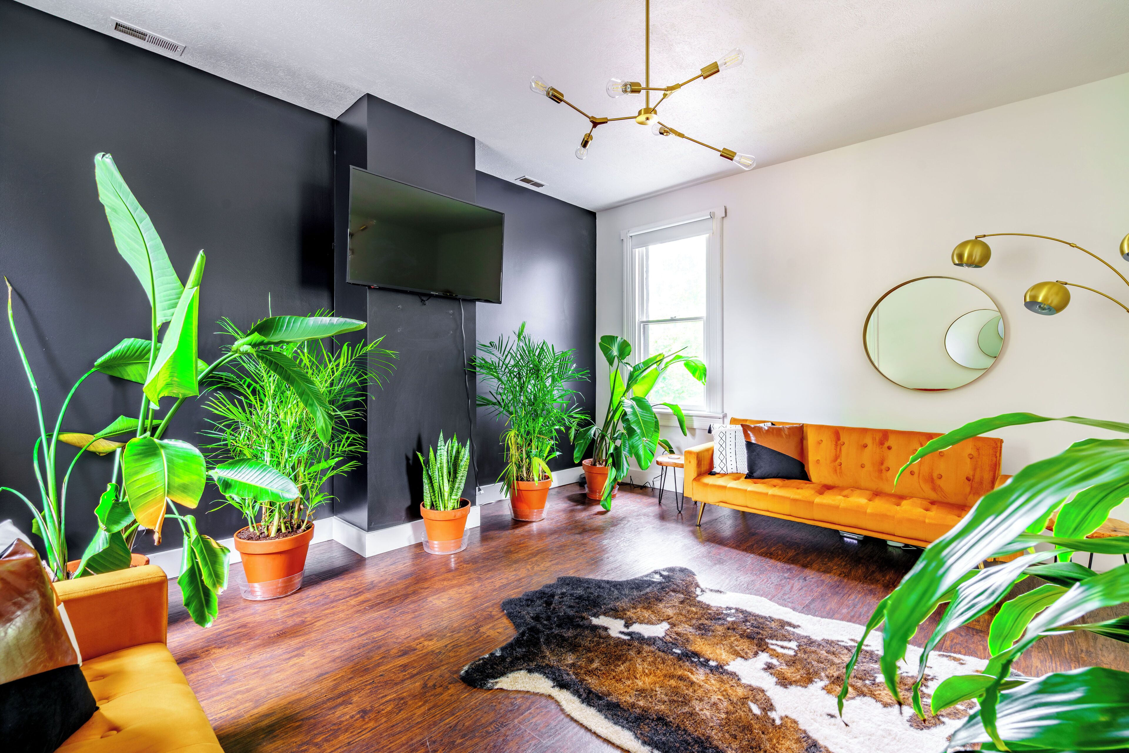 55-inch Smart TV with digital channels, Netflix, Hulu