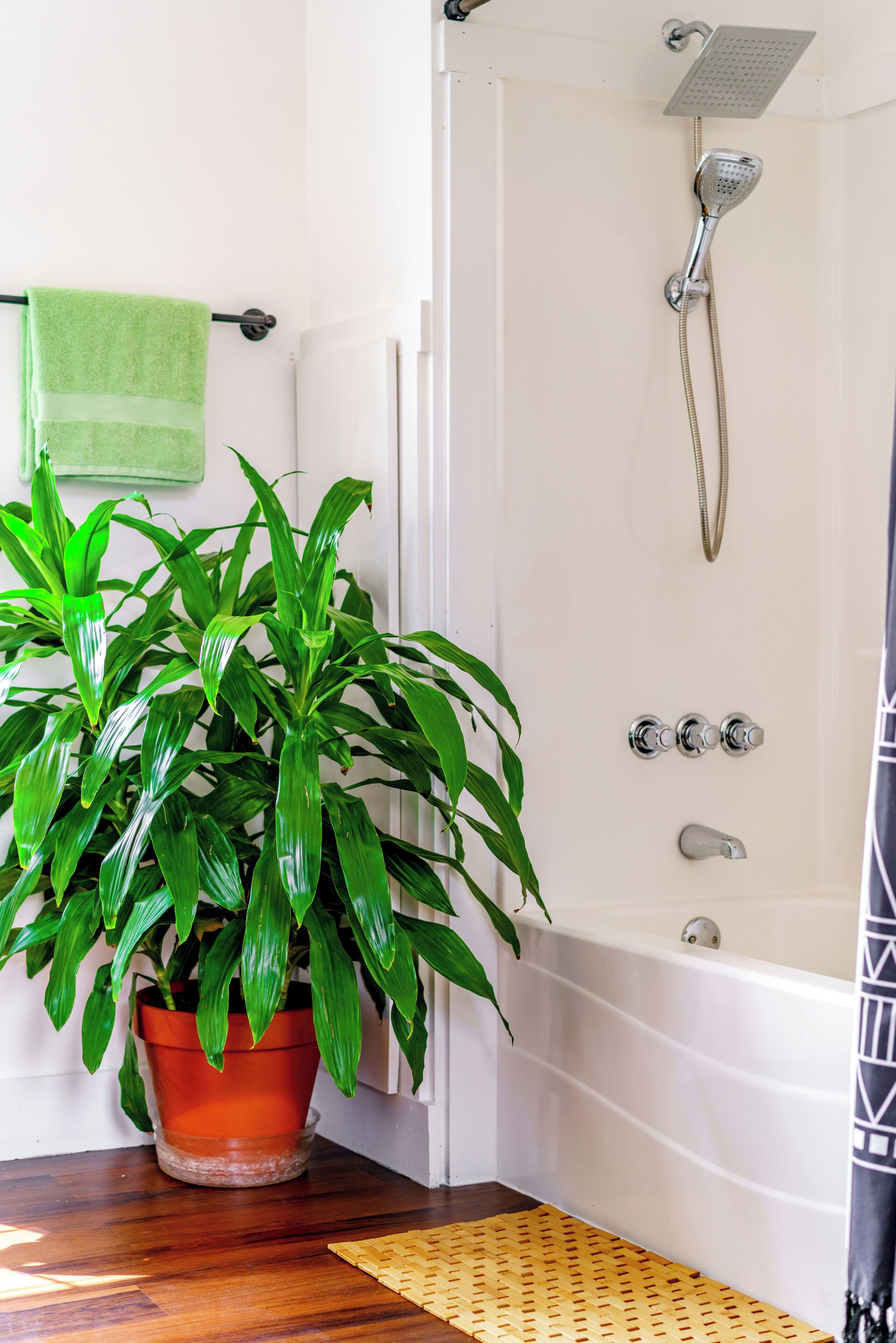 Jungle Thyme Upstairs | Bathroom