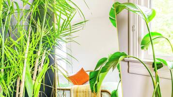 Egyptian cotton sheets, premium bedding, memory-foam beds, free minibar