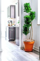 55-inch Smart TV with digital channels, Netflix, Hulu