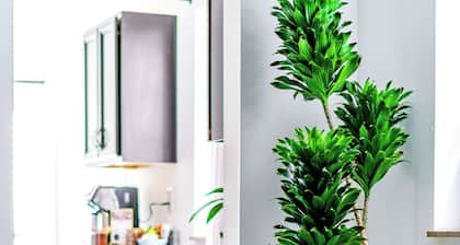 Jungle House Modern Lofts – Arena District & Short North