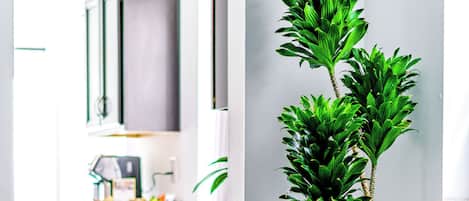 Appartement Deluxe | Aire de séjour | Téléviseur connecté de 55 po avec télévision numérique, Netflix, Hulu
