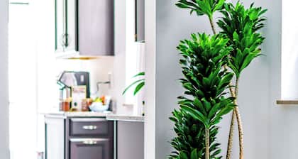 Jungle House Modern Lofts – Arena District & Short North