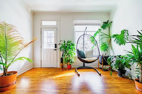 Welcome to the Jungle | Garden view