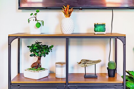 Welcome to the Jungle | Living area | 55-inch Smart TV with digital channels, TV, Netflix