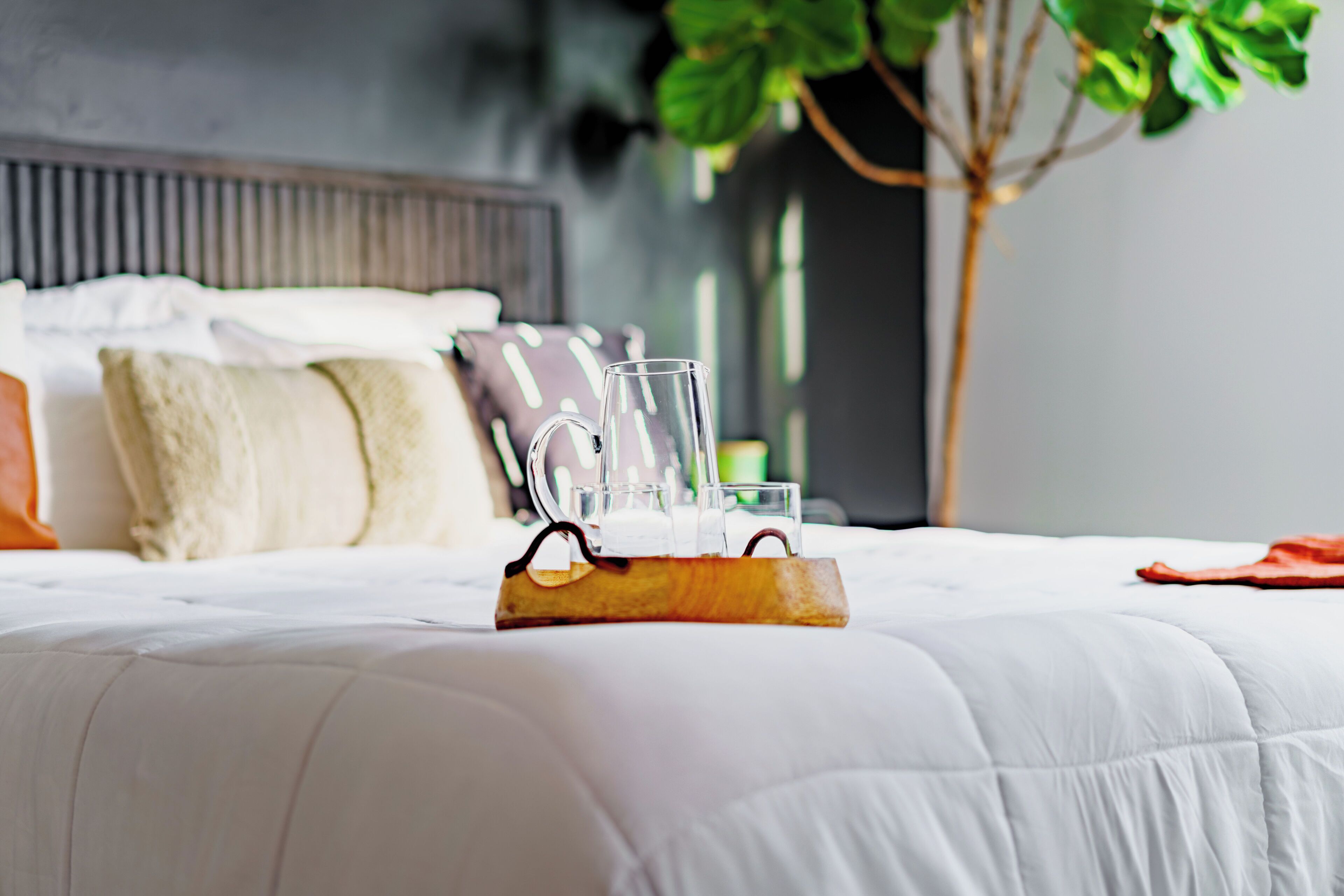 Roupas de cama de algodão egípcio, roupas de cama premium