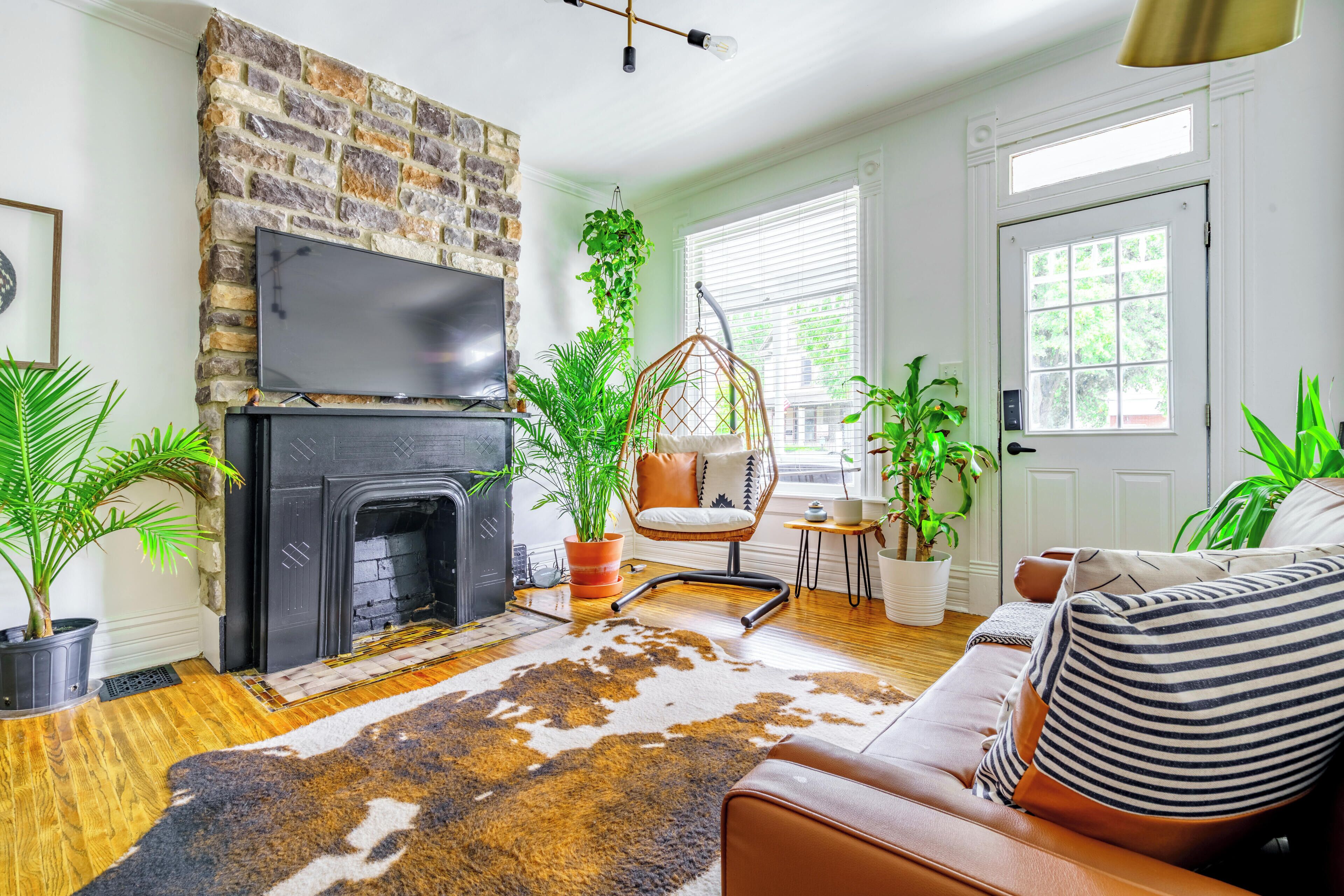 Jungle Fever | Living area | 55-inch Smart TV with digital channels, TV, Netflix