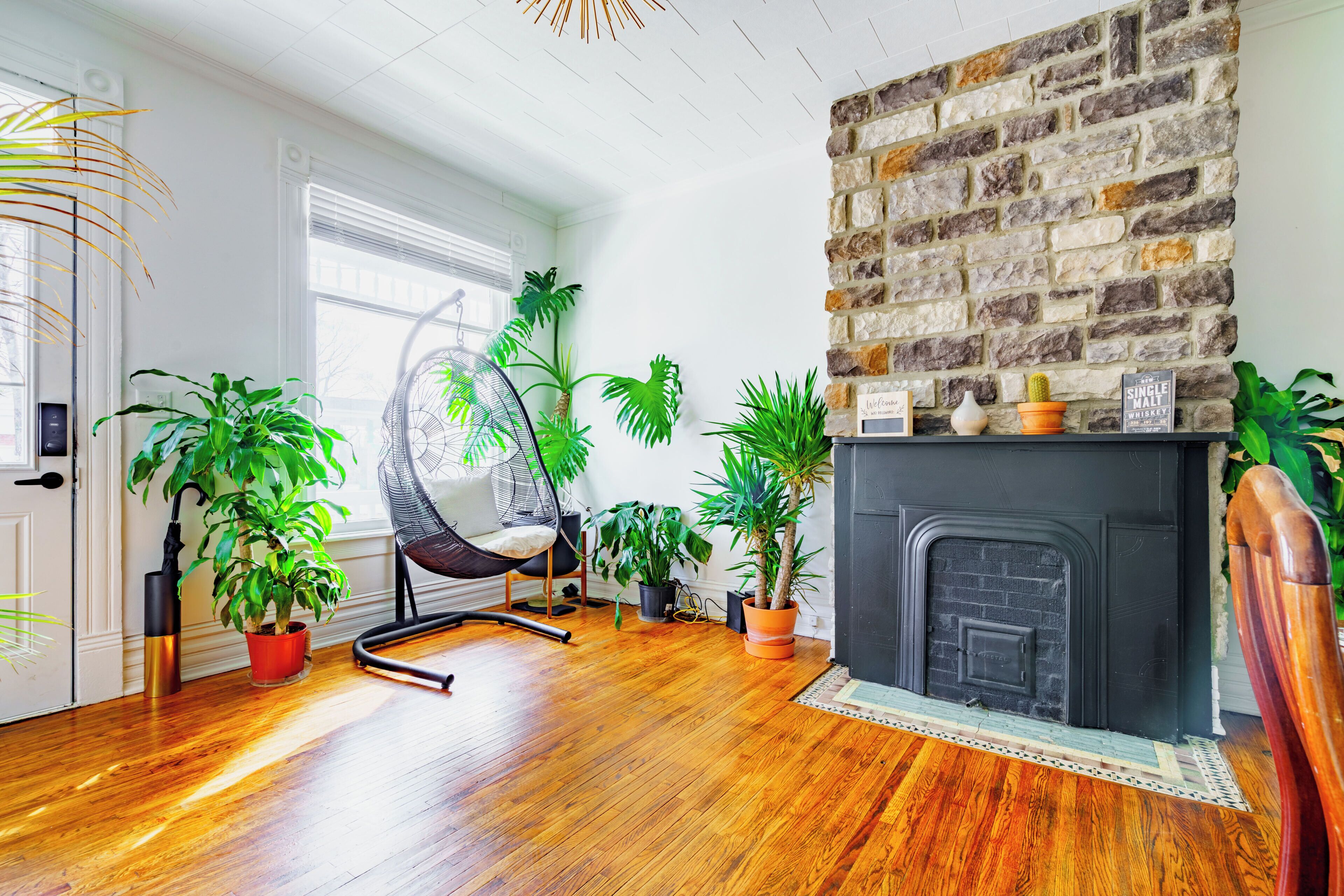 Welcome to the Jungle | Living area | 55-inch Smart TV with digital channels, TV, Netflix