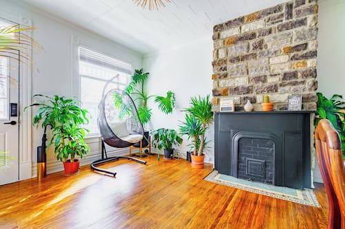 Welcome to the Jungle | Living area | 55-inch Smart TV with digital channels, TV, Netflix