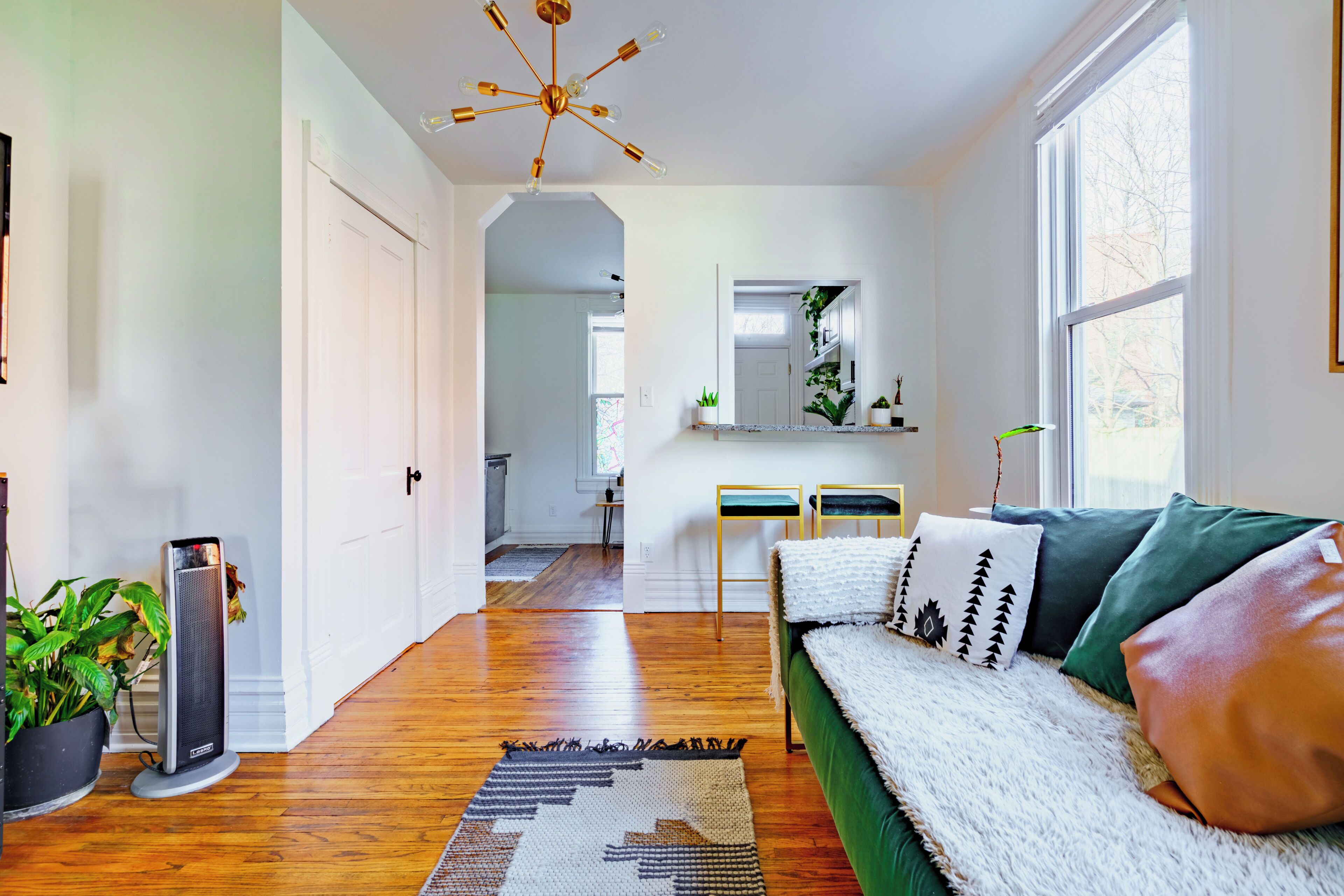 Welcome to the Jungle | Living area | 55-inch Smart TV with digital channels, TV, Netflix