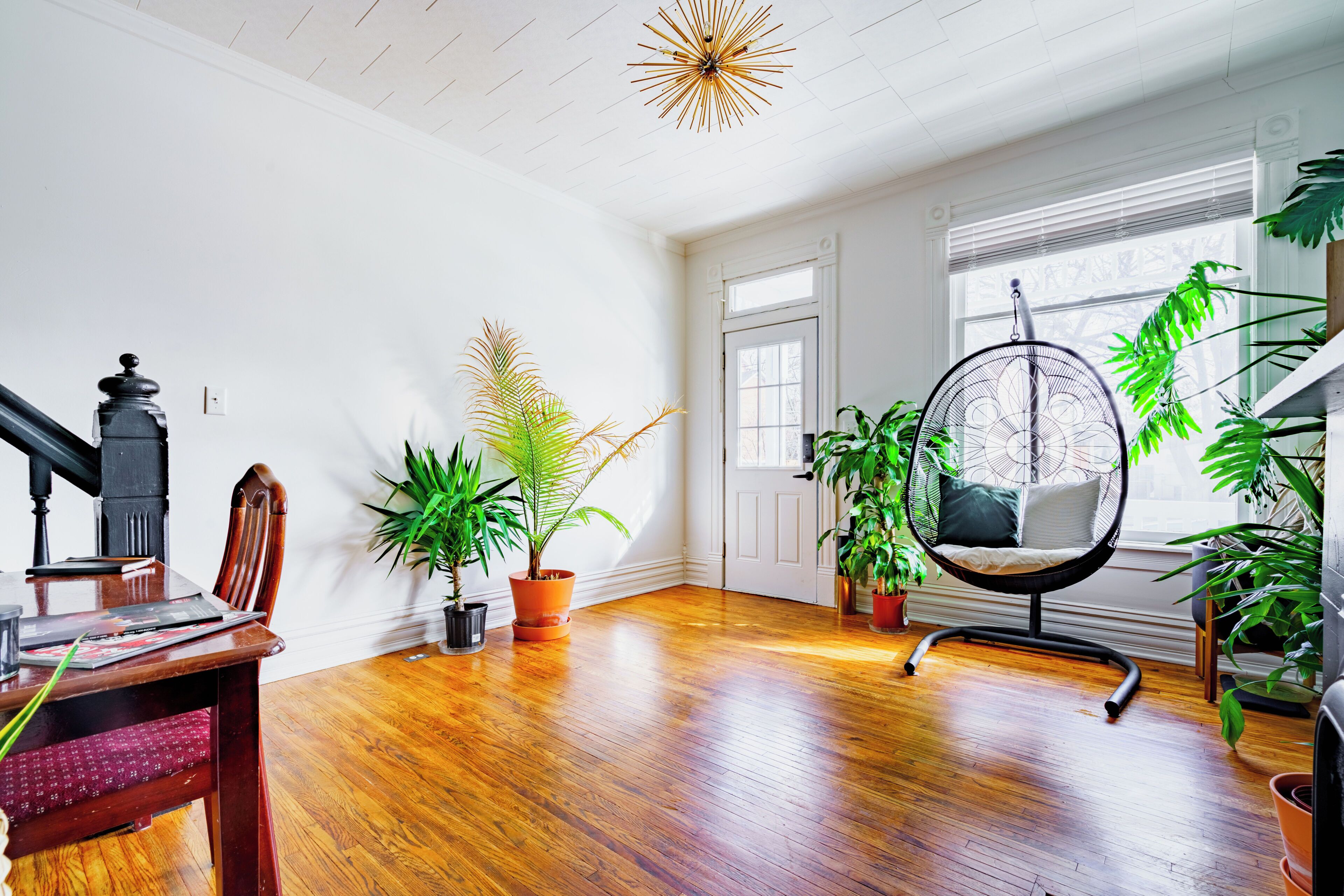 Welcome to the Jungle | Living area | 55-inch Smart TV with digital channels, TV, Netflix