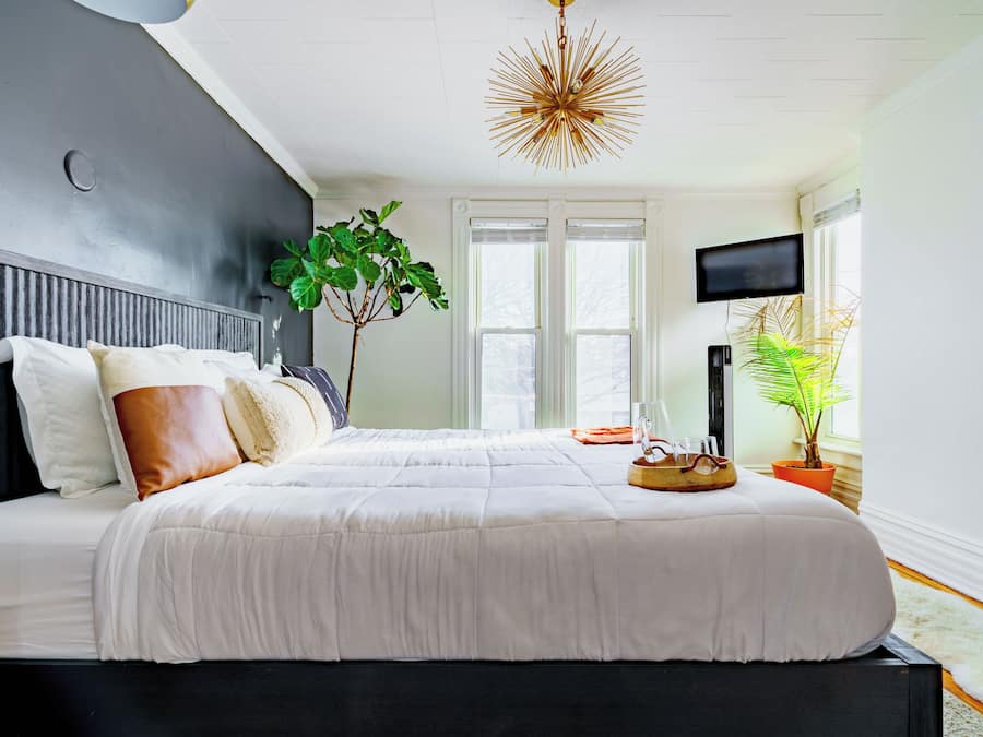 Welcome to the Jungle | Egyptian cotton sheets, premium bedding, memory foam beds, free minibar
