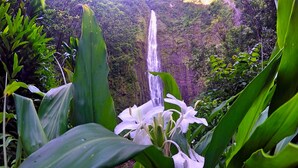 Een waterval omringd door weelderige begroeiing en witte bloemen.