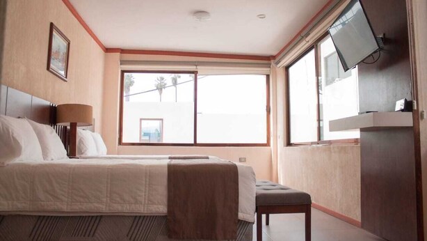 Habitación de hotel con cama, mesita de noche, lámpara, televisor y ventana con vista a palmeras.