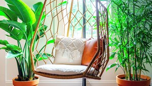 A wicker chair with a cushion, a potted plant, and a window with a view. - Jungle House Urban Lofts - Short North & Convention Center (Columbus)