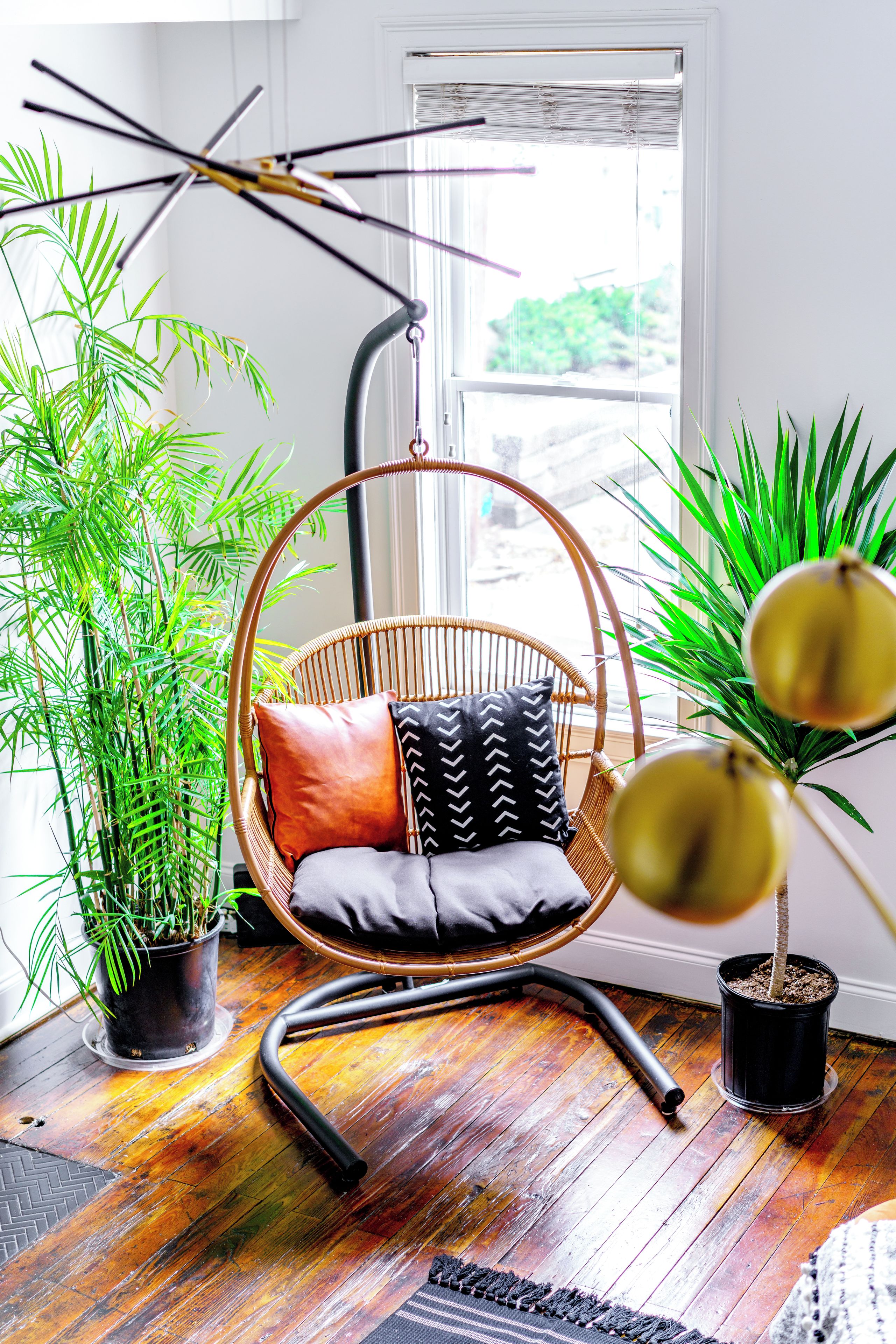 A room with a hanging chair, potted plants, and a window with blinds.