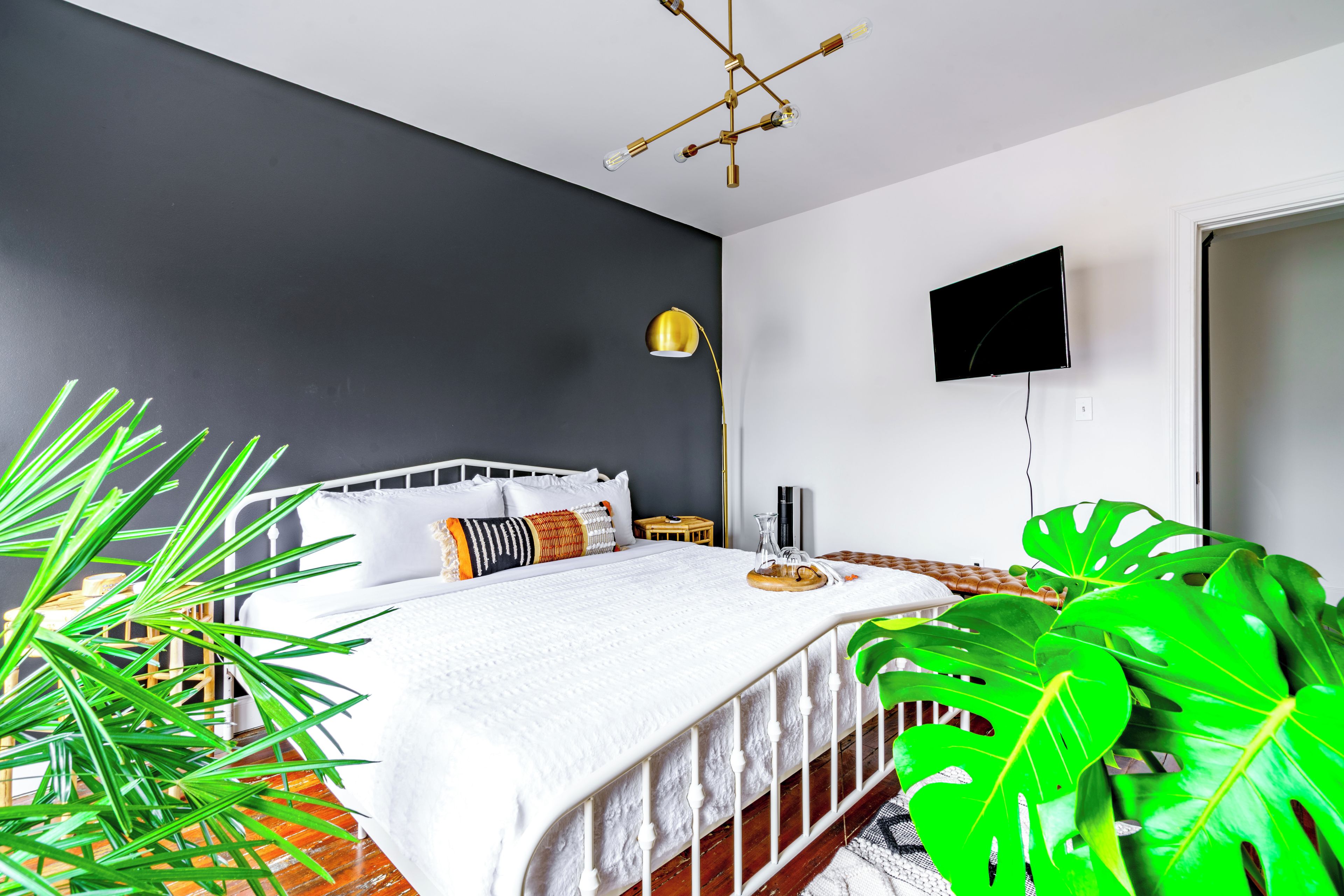 A bedroom with a bed, bedside table, lamp, TV, and large green plant.