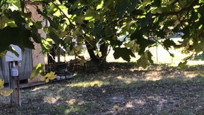 A wooden shed with a utility box, surrounded by grass and a tree with green leaves. - RV hookup in small Montana town next to city park Address: 202 Oak (Plains)